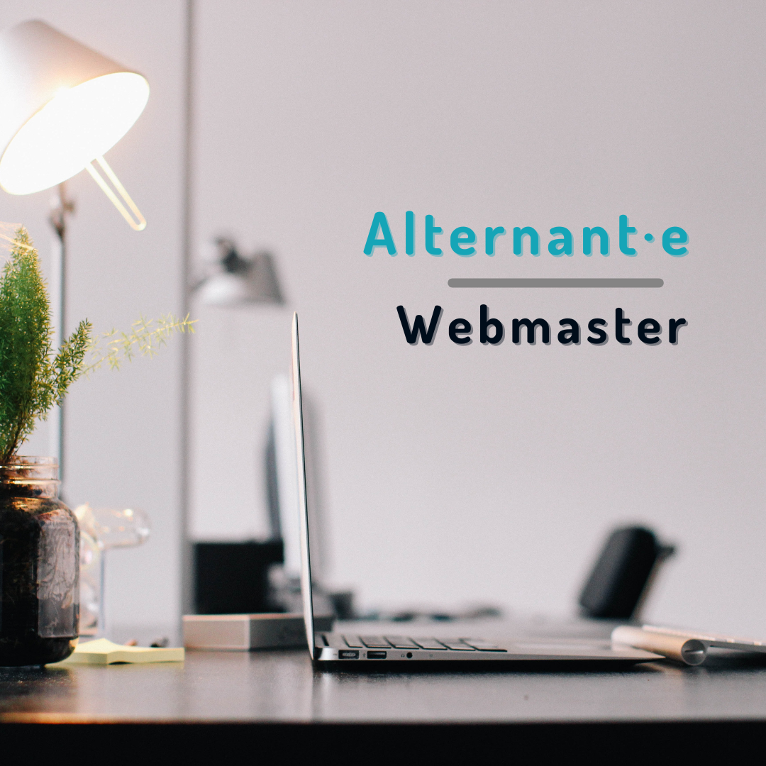 Visuel-Alternant-Webmaster-N