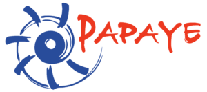16-papaye-1200