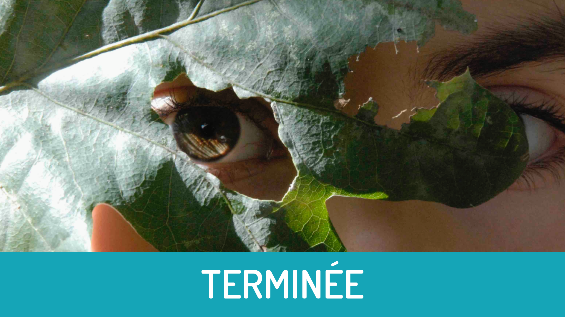 Mettre en image son film terminée