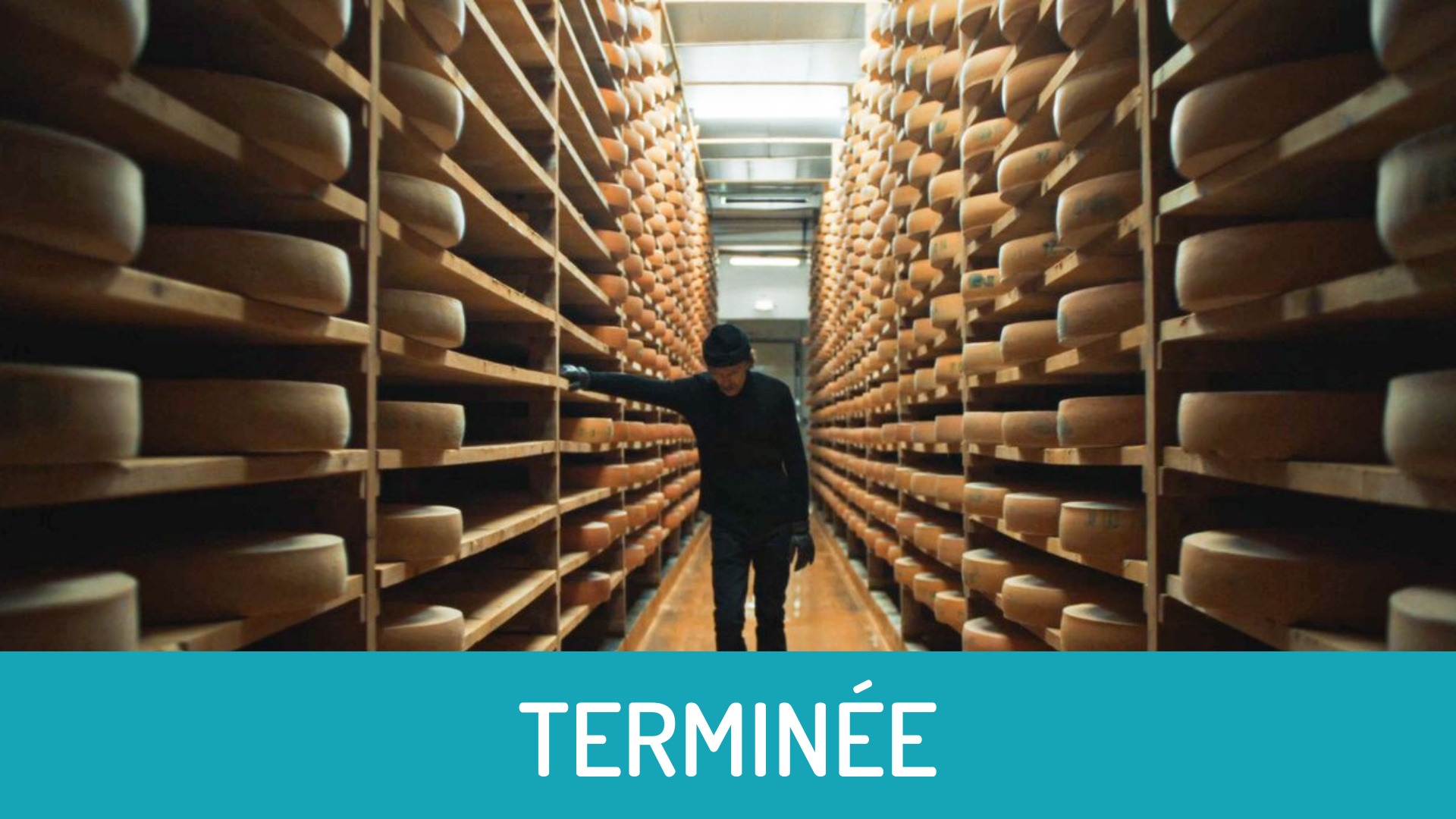 169 formations 2023 2025 les for