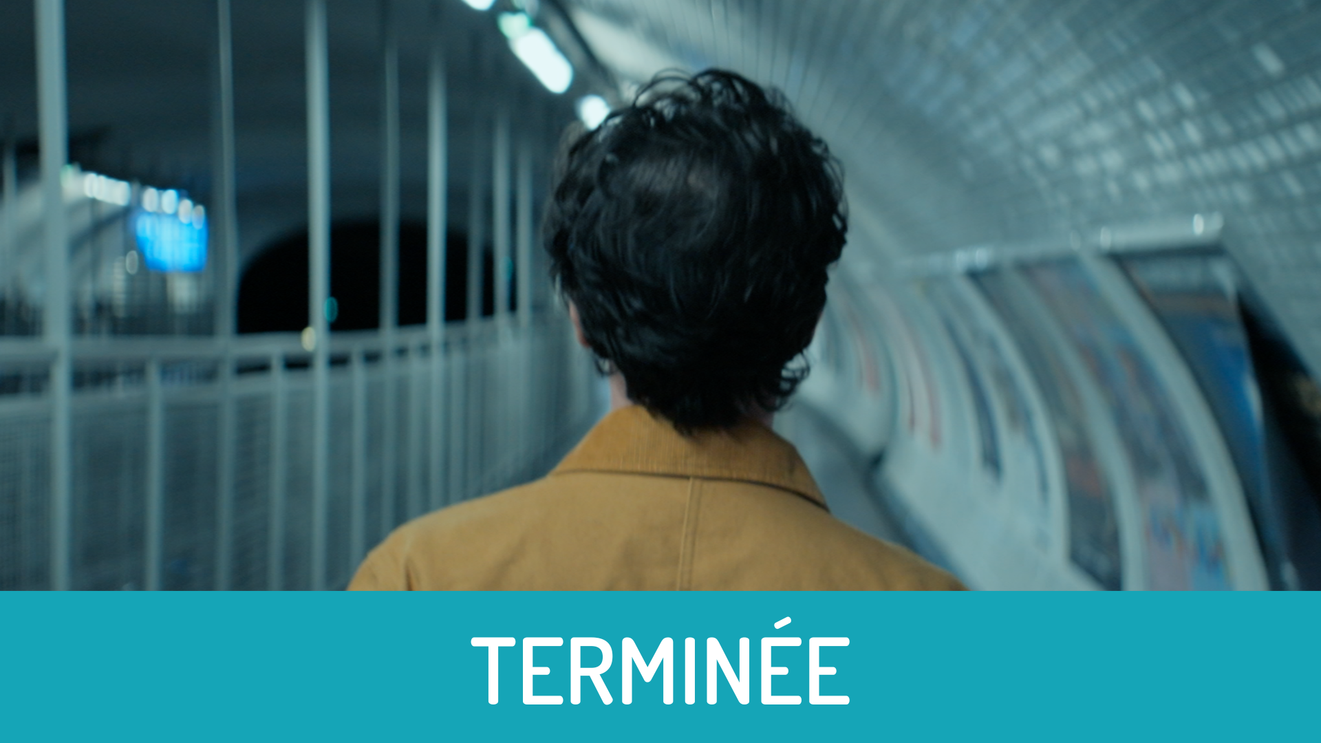 169 formations 2023 2025 dernier